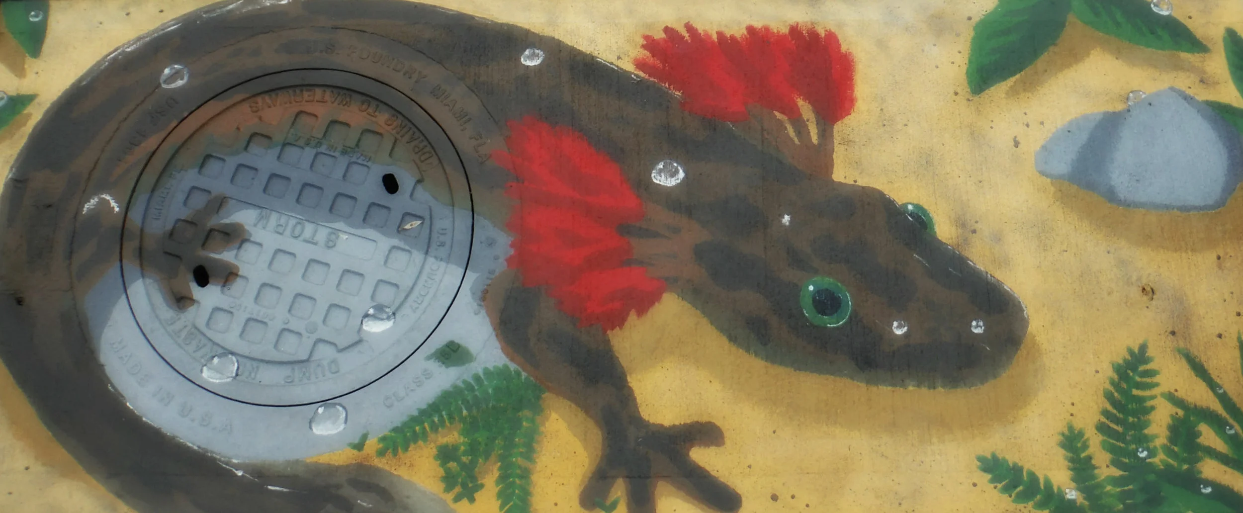 Mudpuppy Centered.jpg