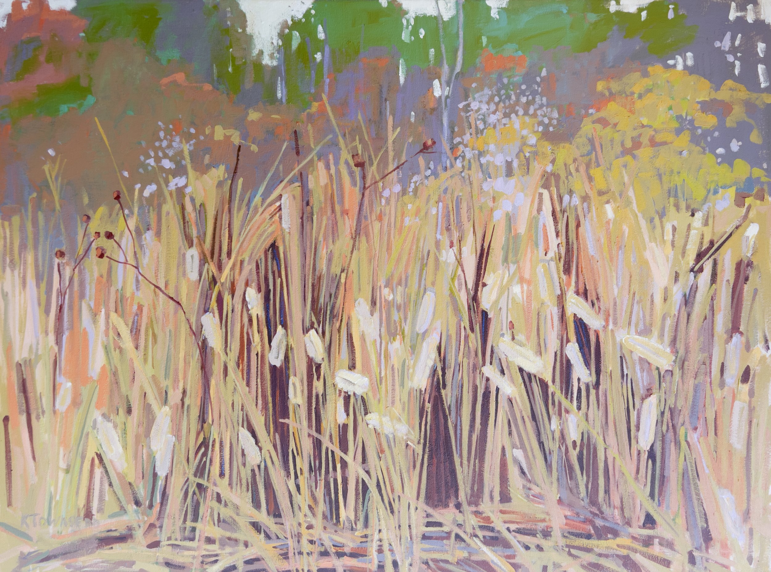 Academy Center of the Arts