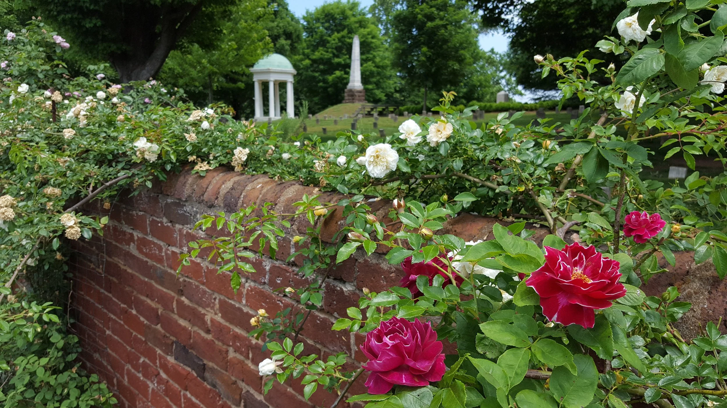 Old City Cemetery