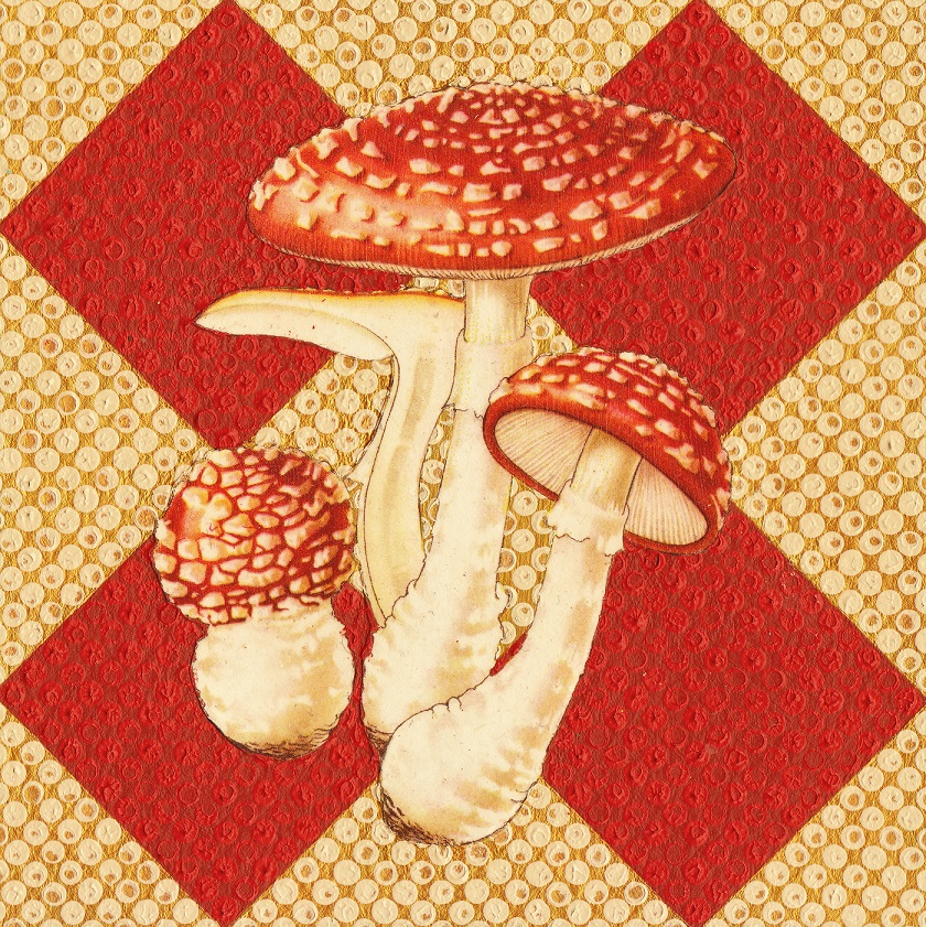Fly Agaric SOLD