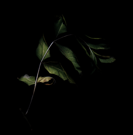 SCastilloscreen010.jpg