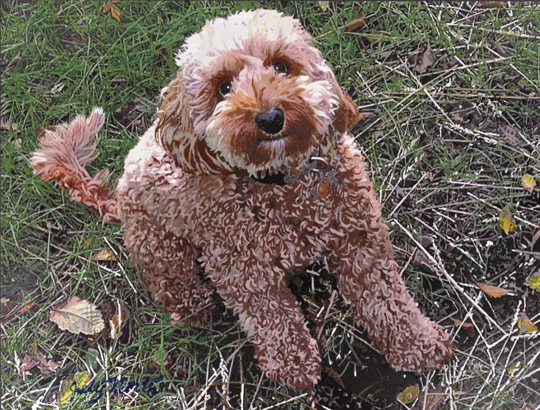 Cooper dog.jpg