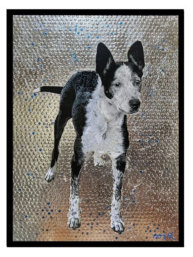 Angkina dog.jpg