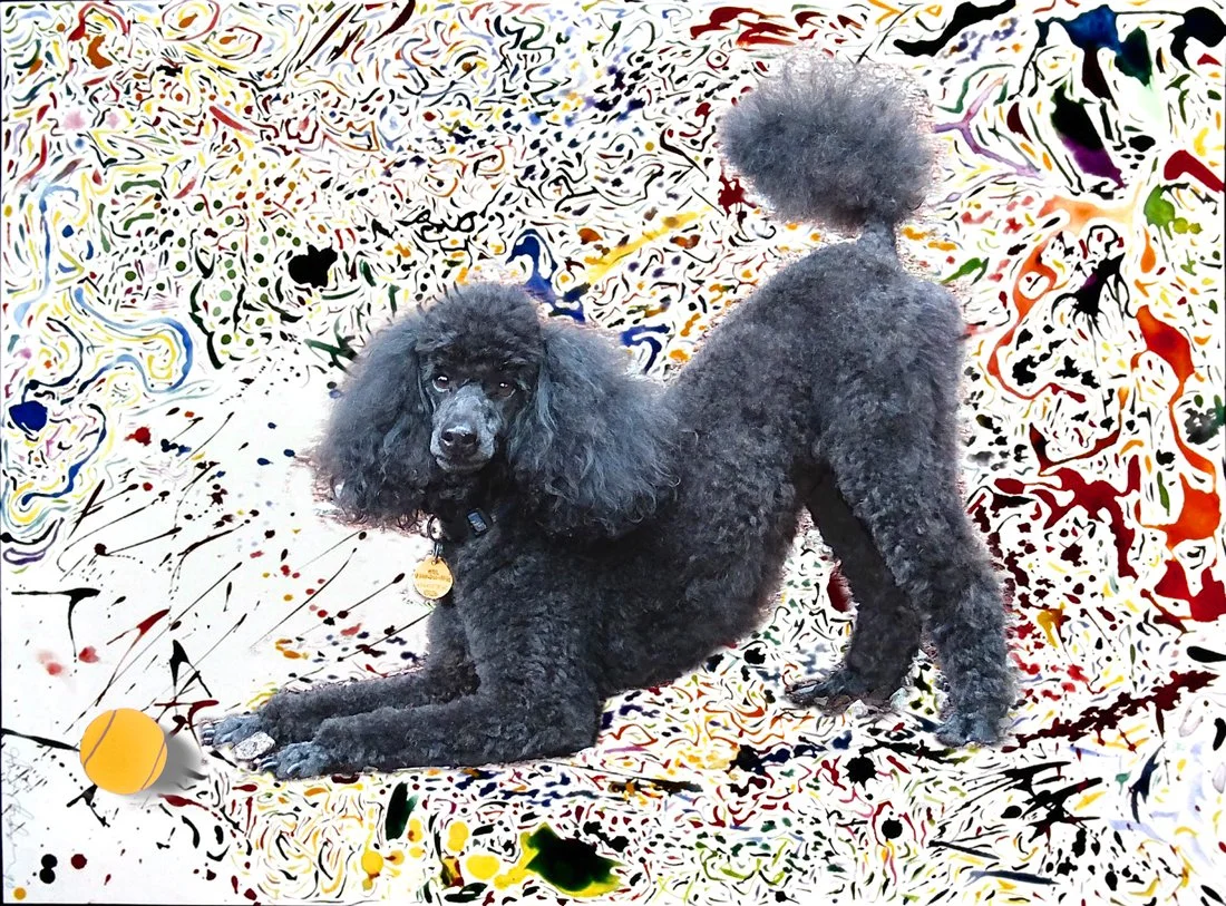 "Rosie," acrylic. Judy North's Dog.