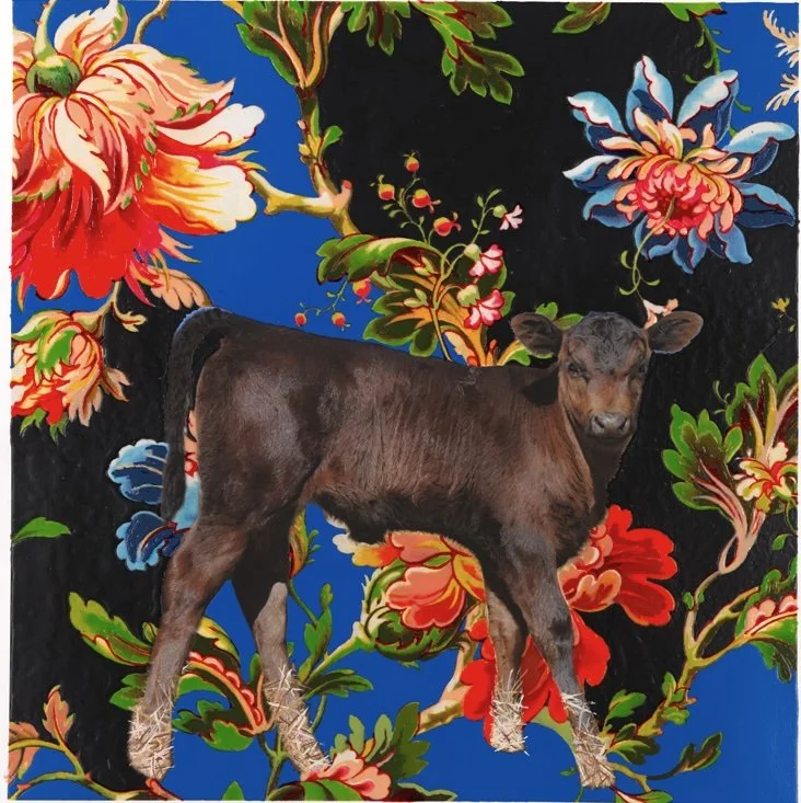 "Thistler," 2008, acrylic, 18 x 18 in., Private Collection.