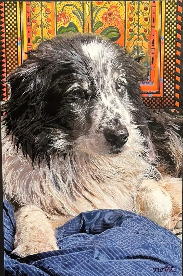 "Finney," Private Collection.