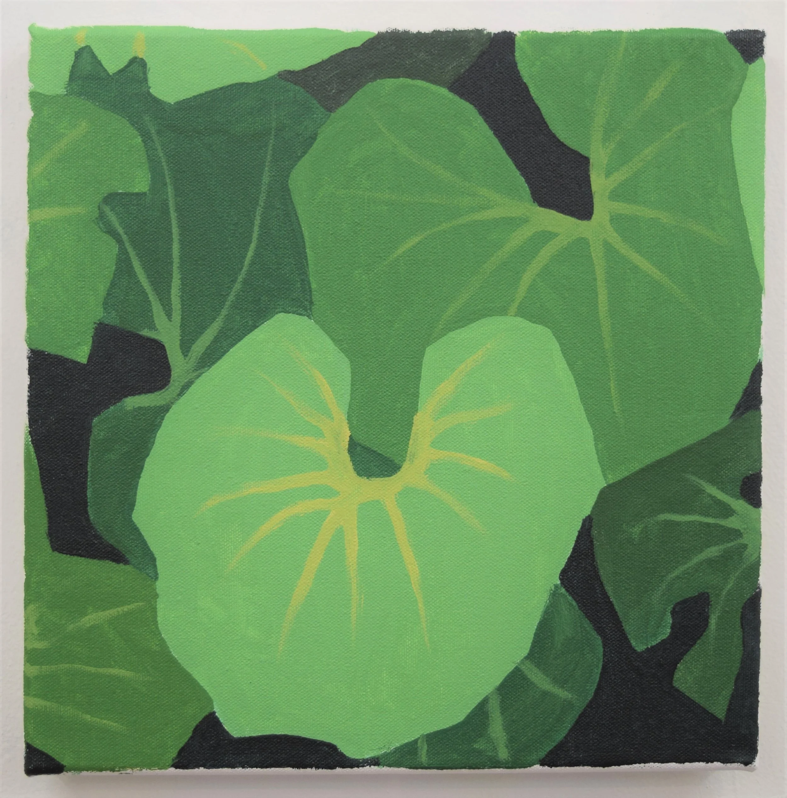 farfugium: oil on canvas, 12x12 inches, 2019