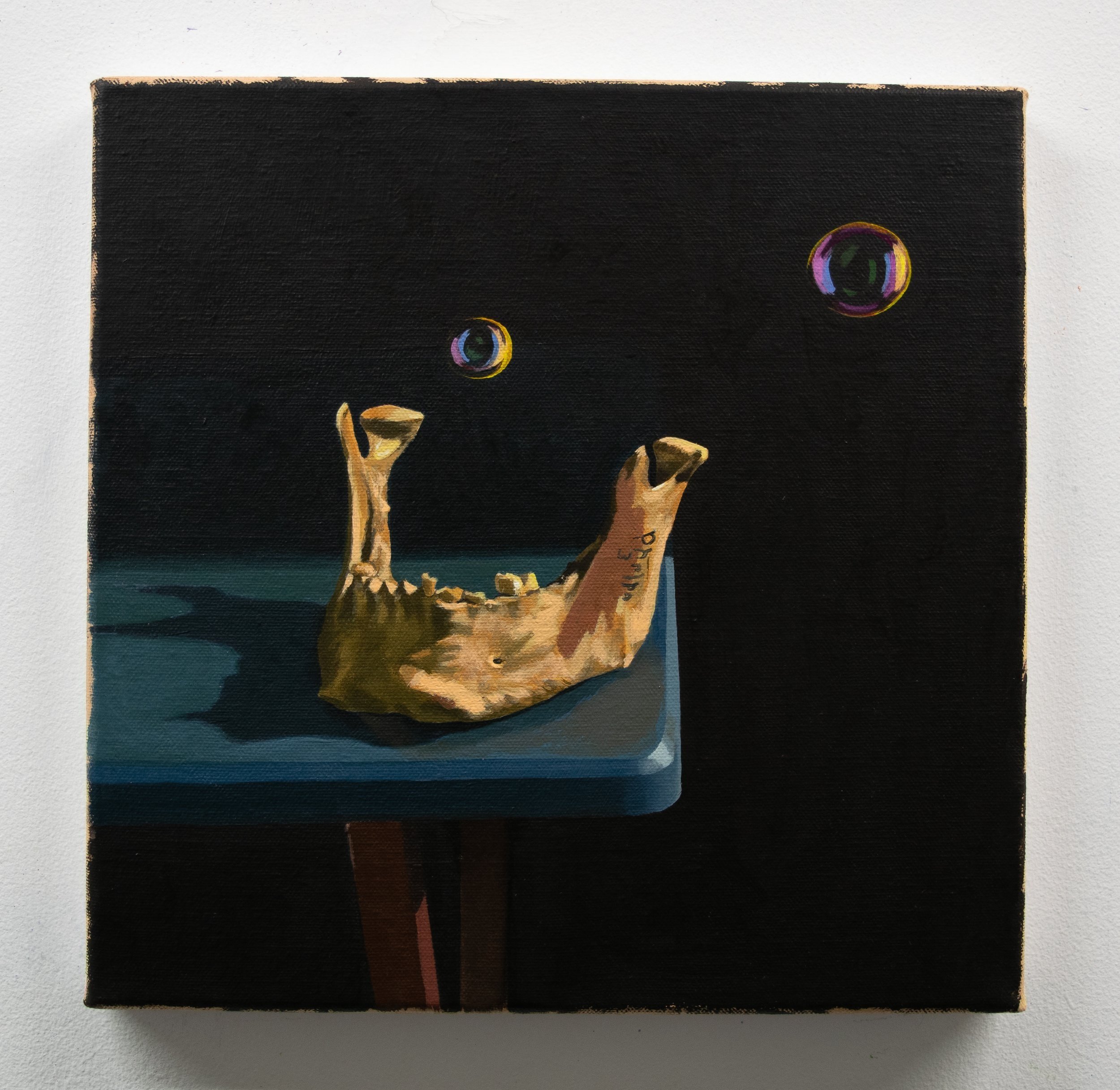 still life with mandible and soap bubbles
