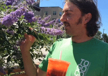 togoco.gif