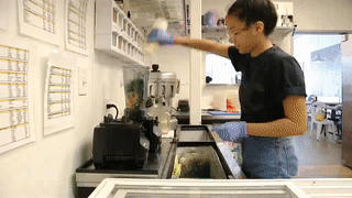 david@souppeddler.com