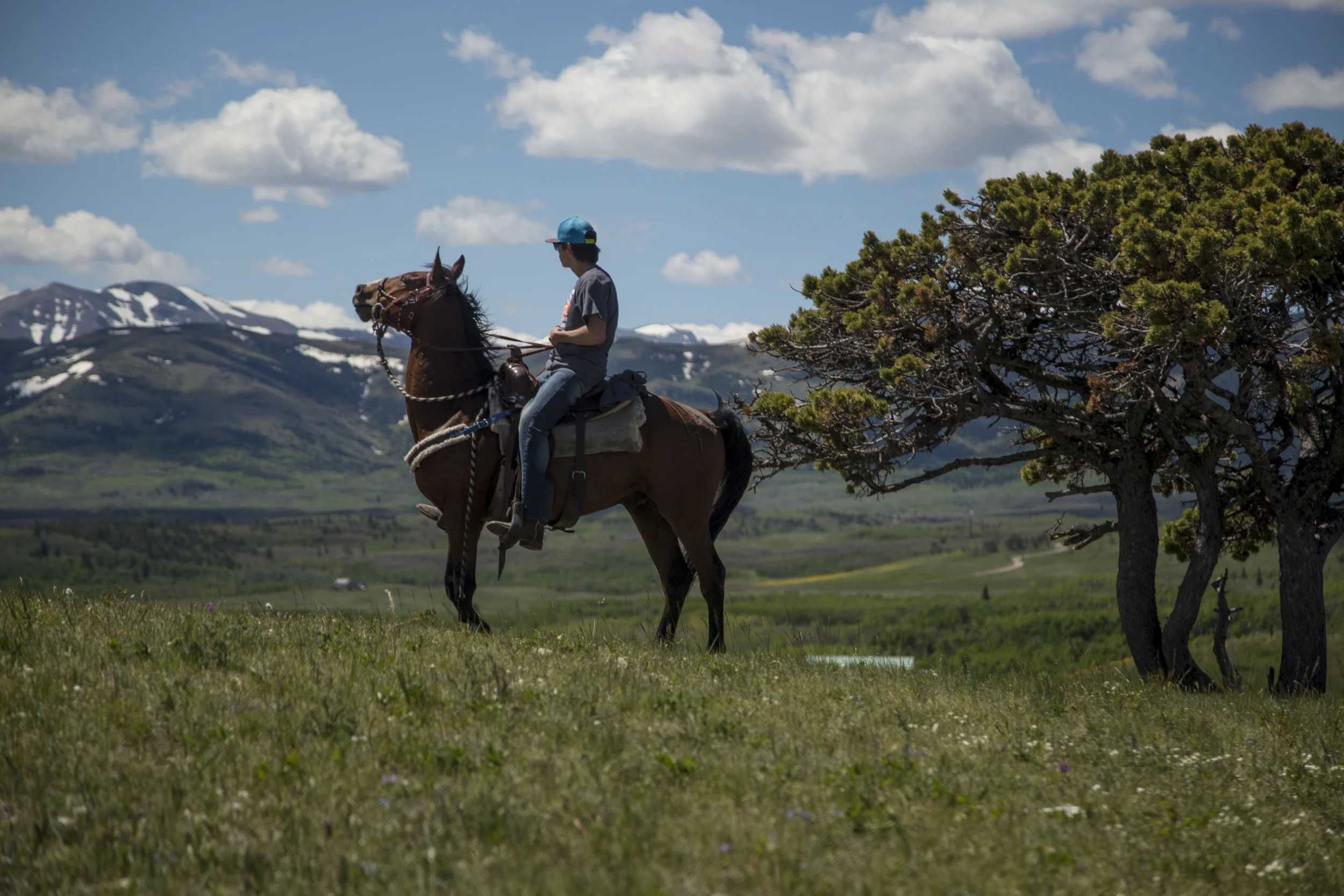 Scouting for the incoming herd of horses