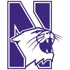 Northwestern University (DI) </a><strong>David Nikolic</strong>