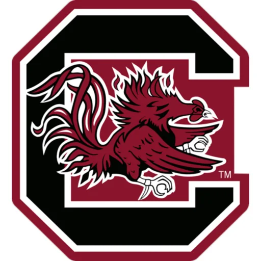 University of South Carolina (DI) Justin Cook