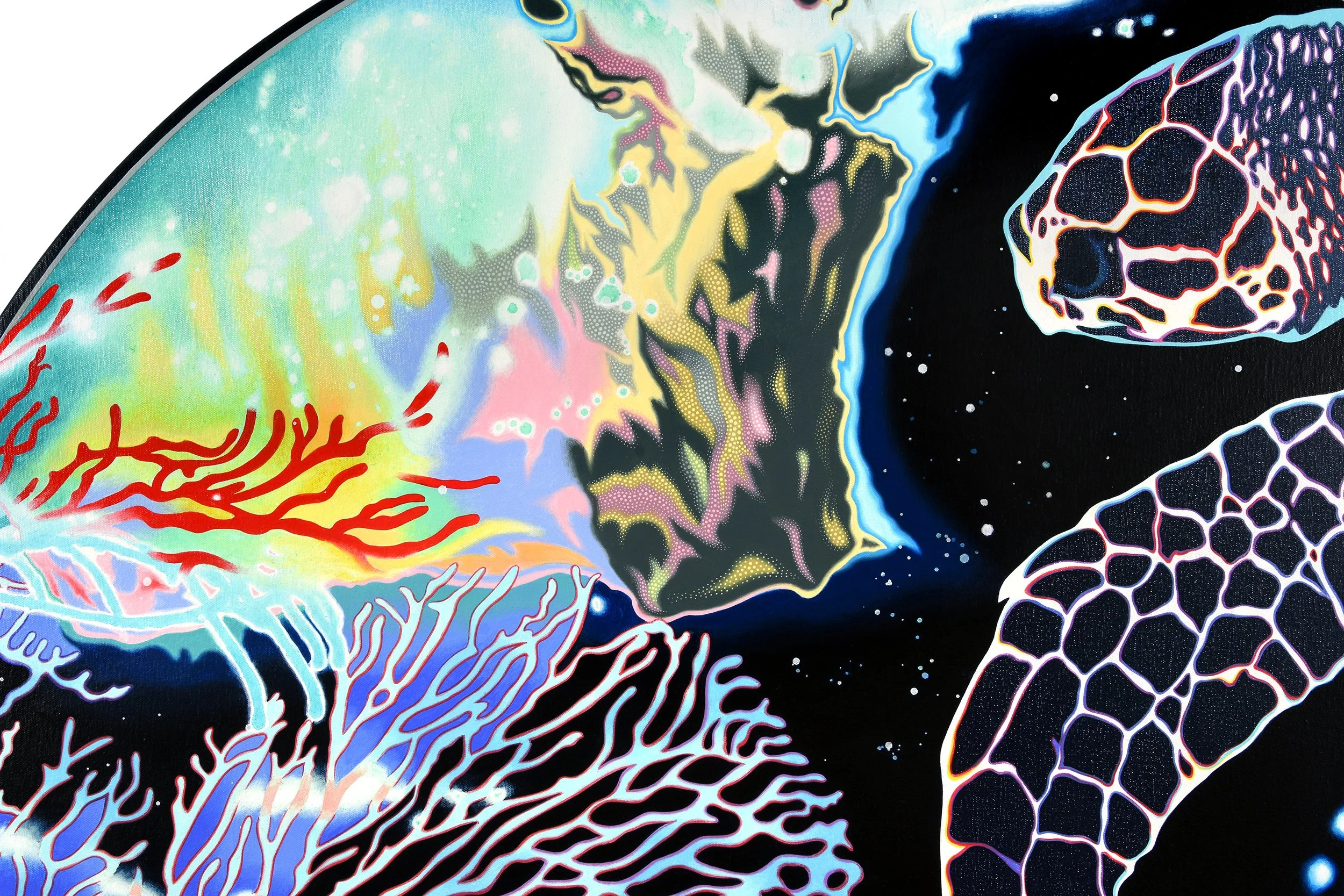Turtle Oculus Tondo - Detail , 48 in. diameter, Acrylic on canvas over panel. 2025