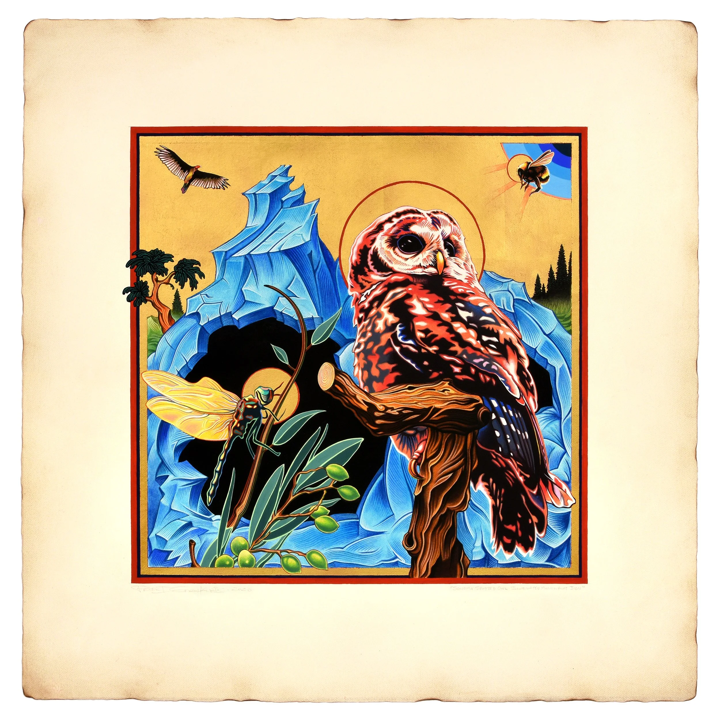   Sonoma Spotted-Owl Illuminated Manuscript Icon , 18 in. x 18 in., Gold leaf &amp; gouache on parchment paper. 2026. Commissioned for Private Collection (Sonoma, CA) 