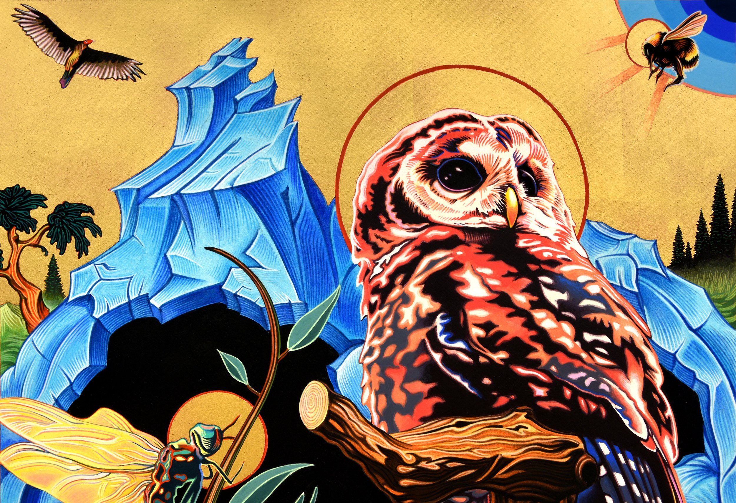   Sonoma Spotted-Owl Illuminated Manuscript Icon - Detail , 18 in. x 18 in., Gold leaf &amp; gouache on parchment paper. 2026. Commissioned for Private Collection (Sonoma, CA) 