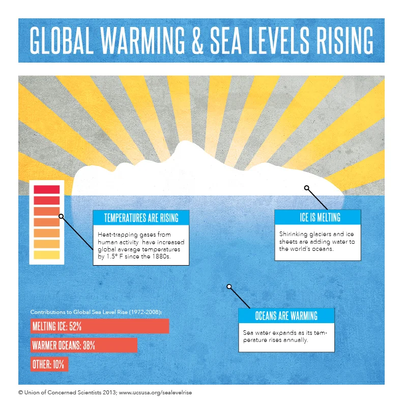Global Warming Infographic.jpg
