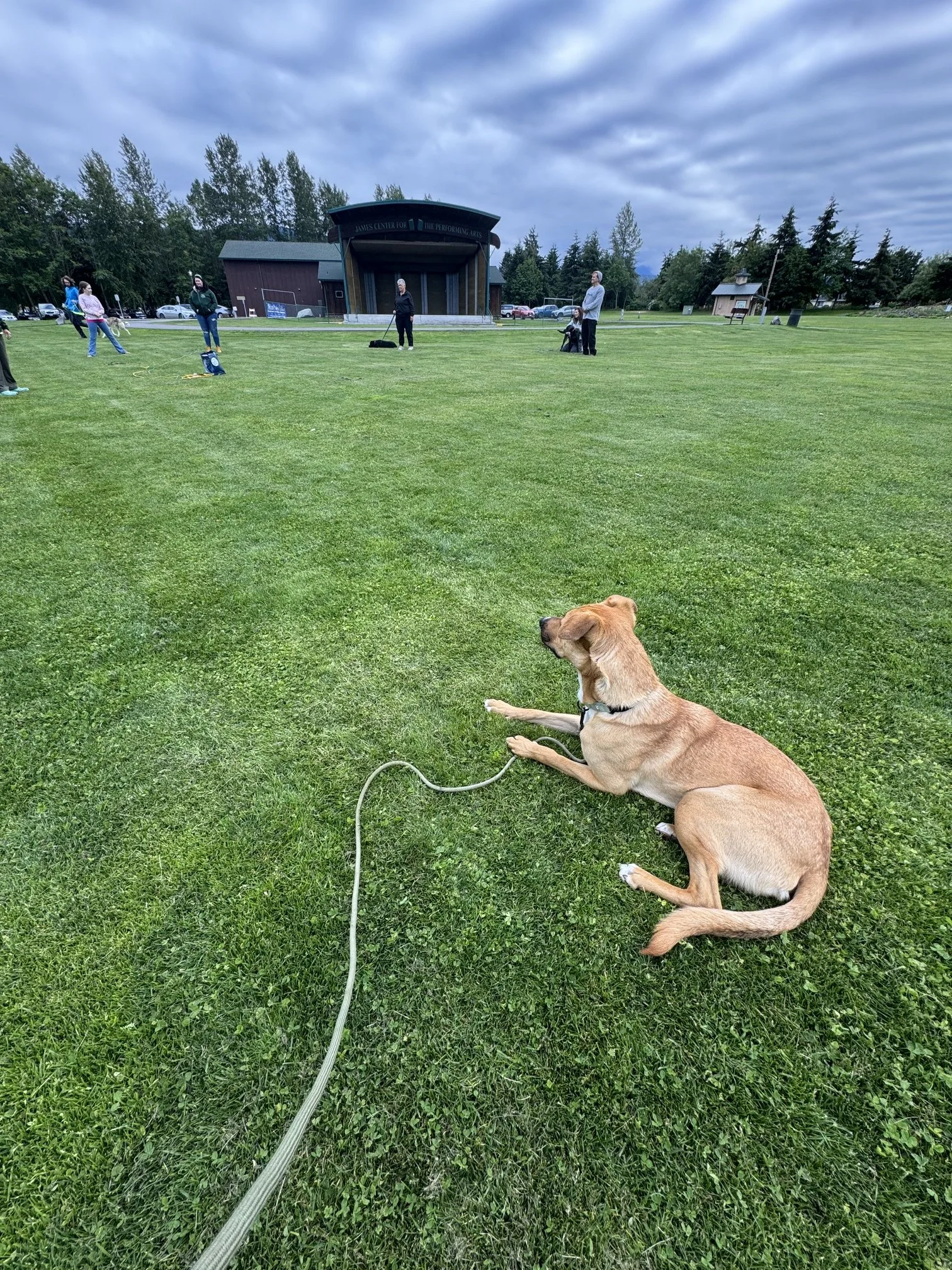 Puppy class
