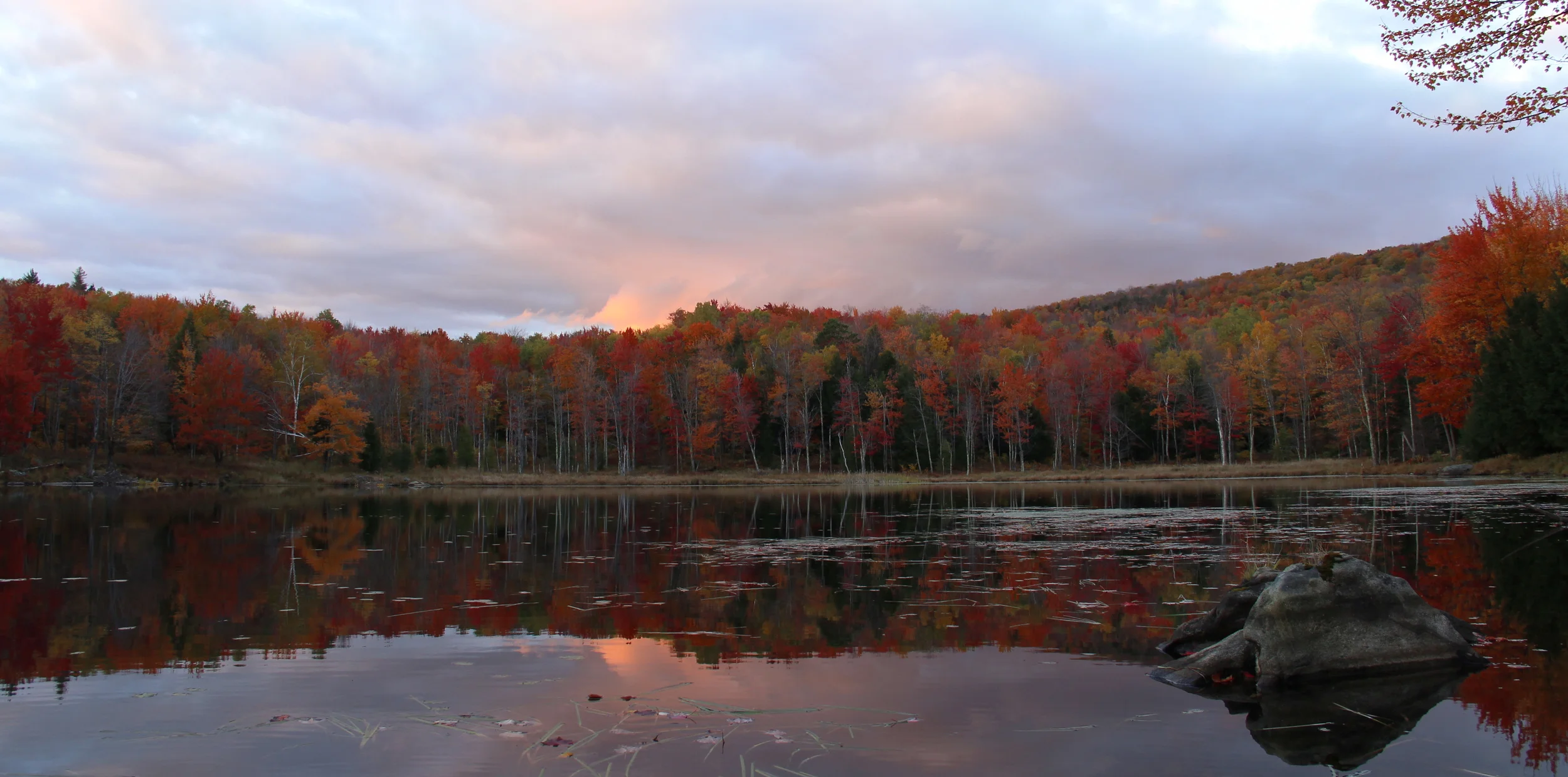 _MG_7158.JPG