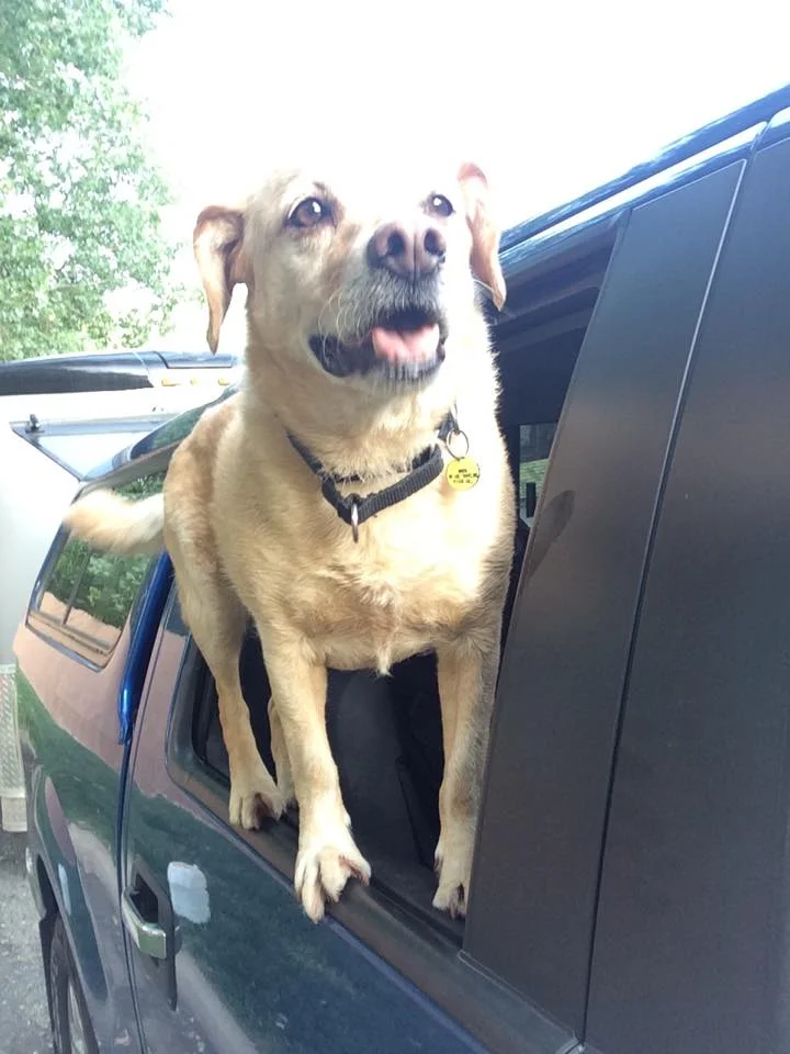 car door.jpg