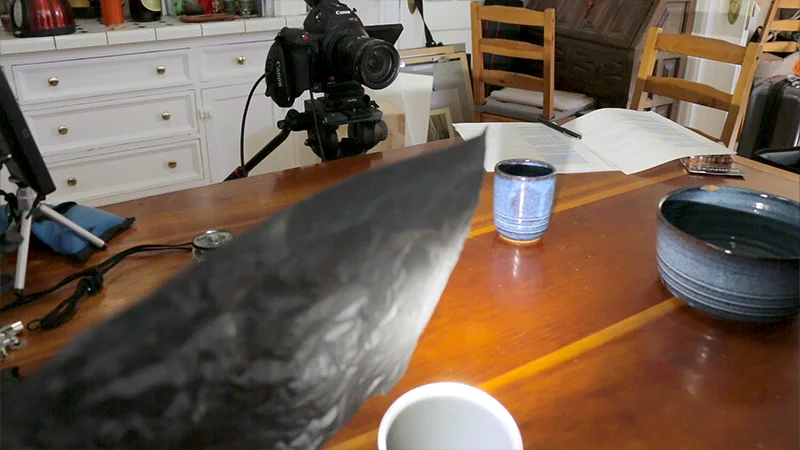 Flagging the backlight off of just the lens, called a "lenser.: