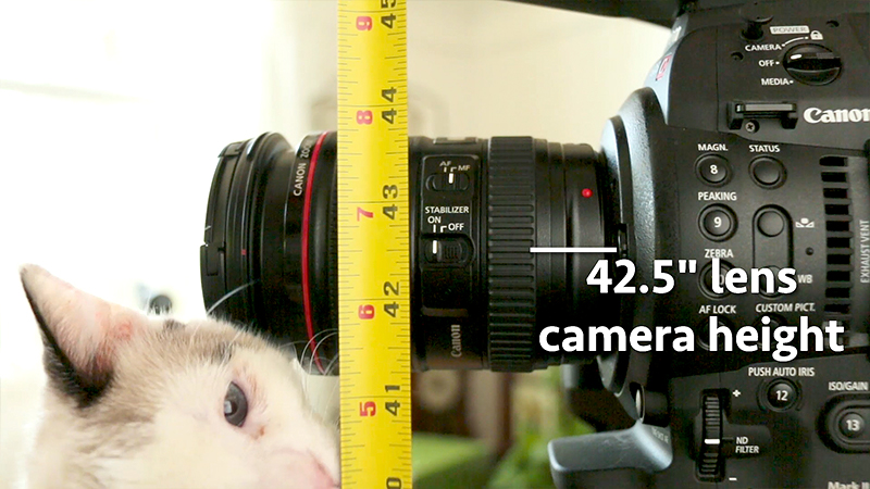 Measure from the ground to the center of the lens to record camera lens height. This way, even if a different camera or tripod was used, you can recreate the same lens height.