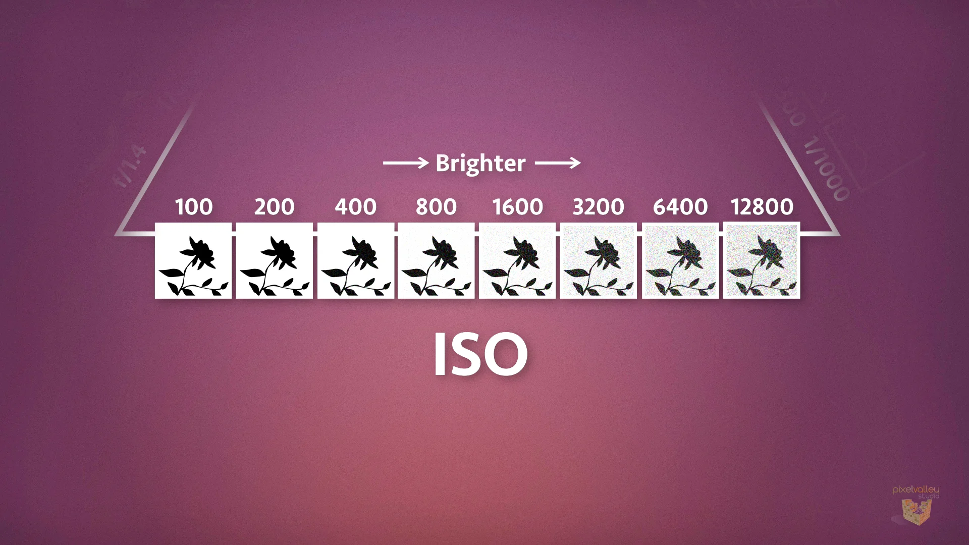 Common ISO settings in 1-stop increments.
