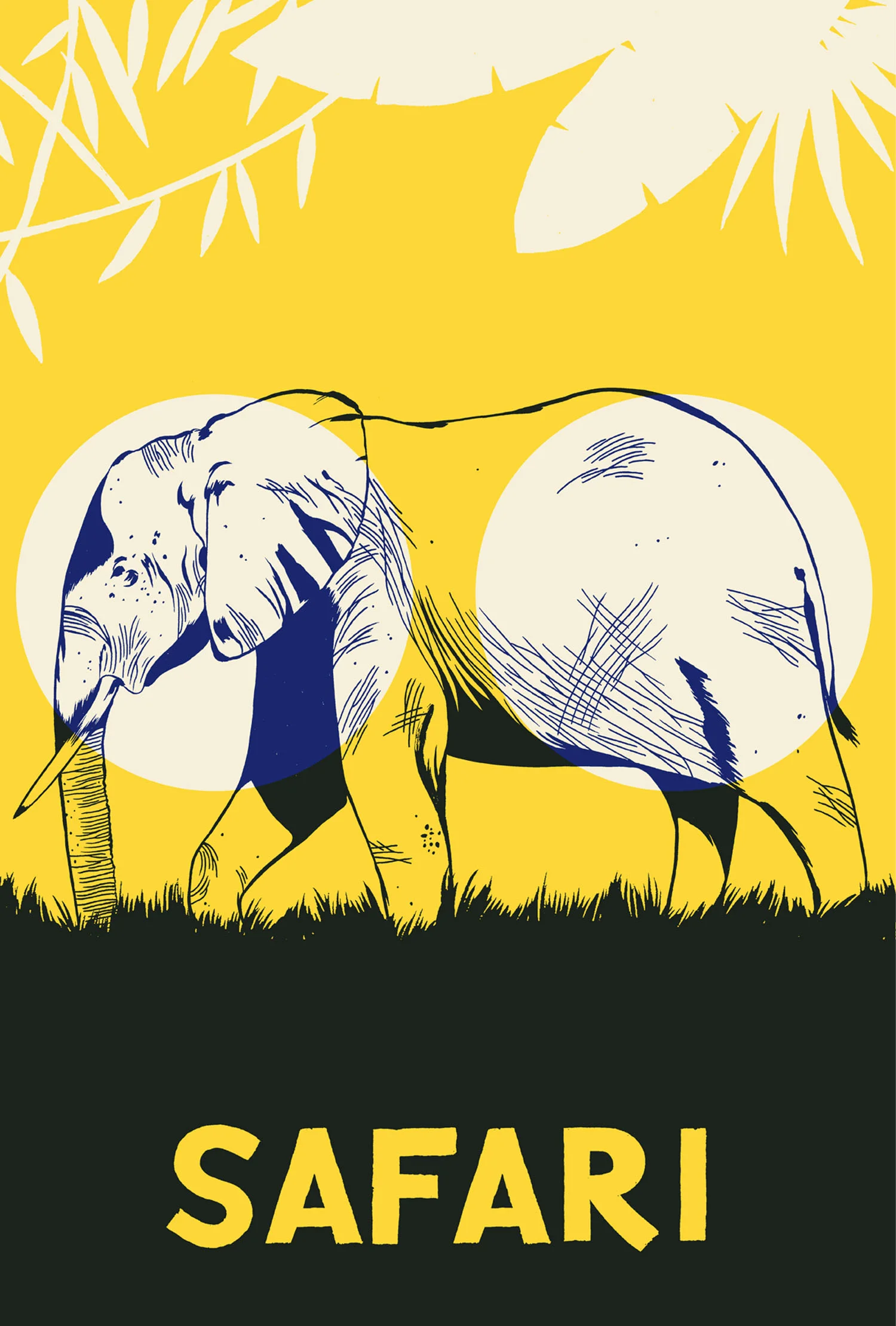 Safari