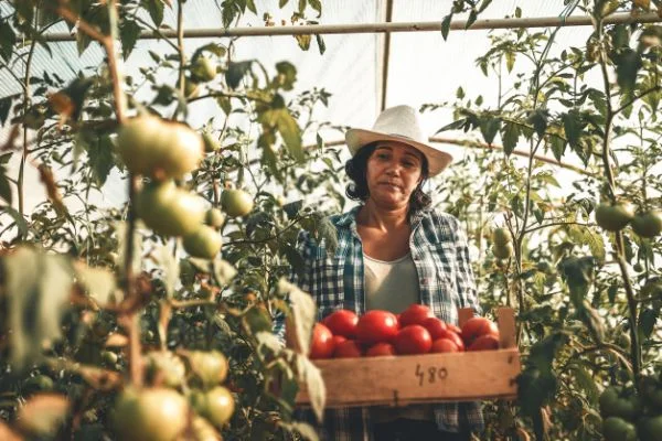 Farmworkers Overtime Pay Lawsuit Before Washington Supreme Court.jpg