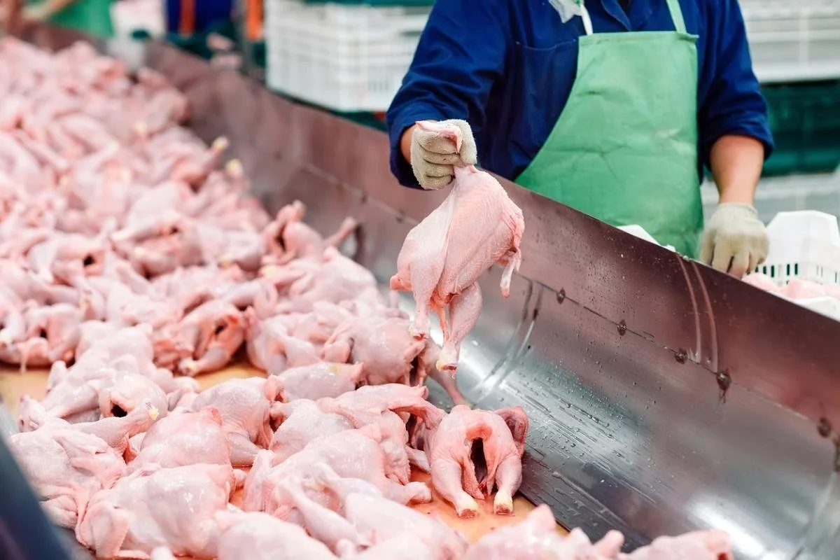 Did Poultry Processors Fix Worker Wages.jpg