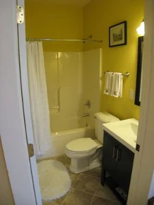 282 CBD Bsmt Full Bath.JPG