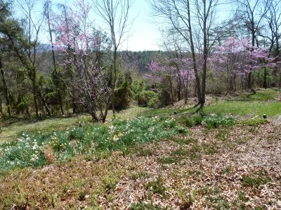 515 Luke Mtn Ext2.JPG