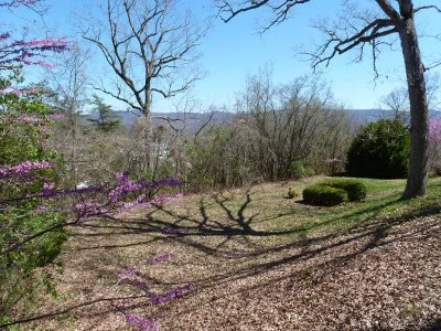 515 Luke Mtn Ext4.JPG