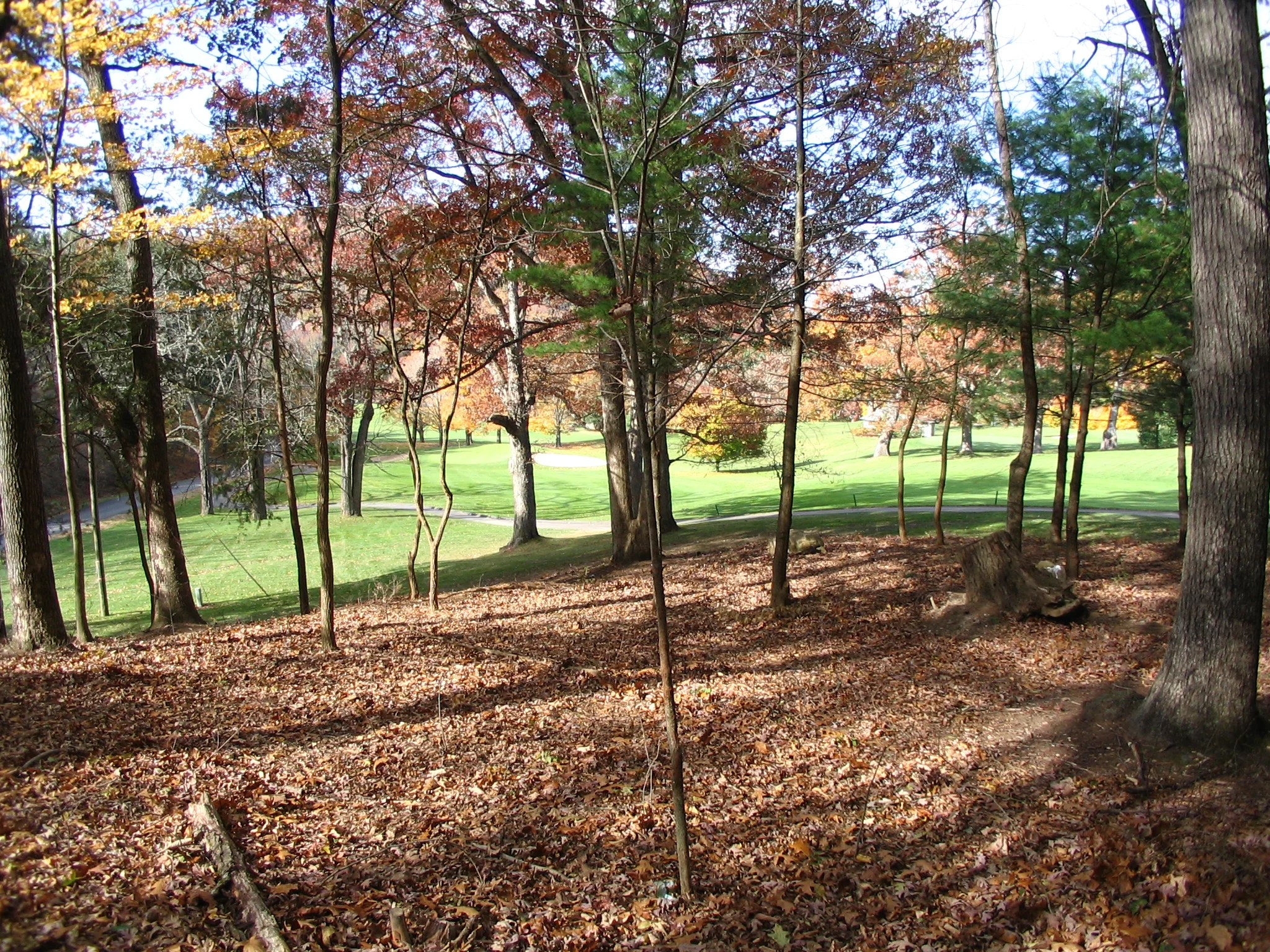 Lot #44, Sheep Meadow, at The Homestead Preserve