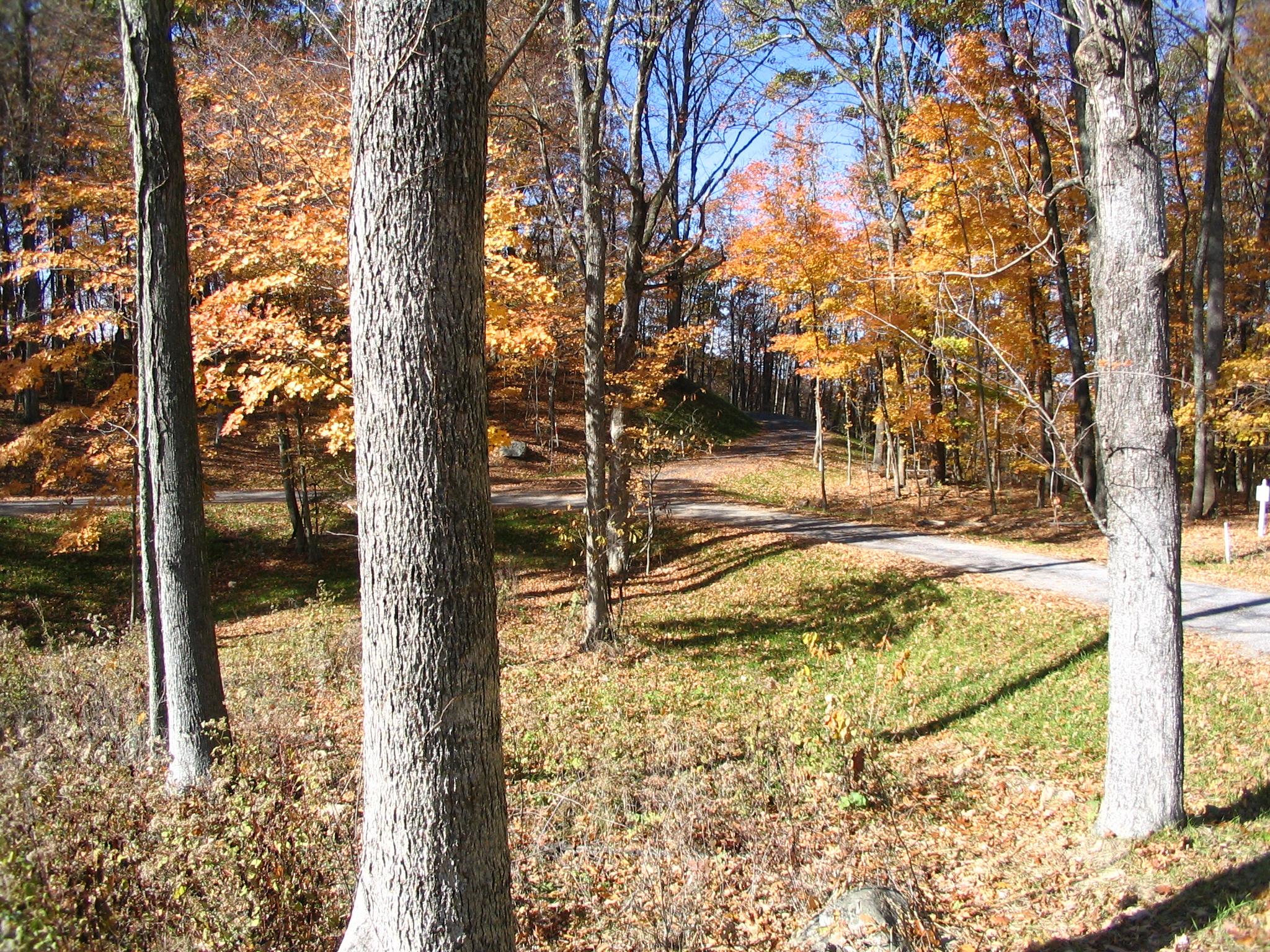 Lot 36 driveway approach off Falconry Ridge