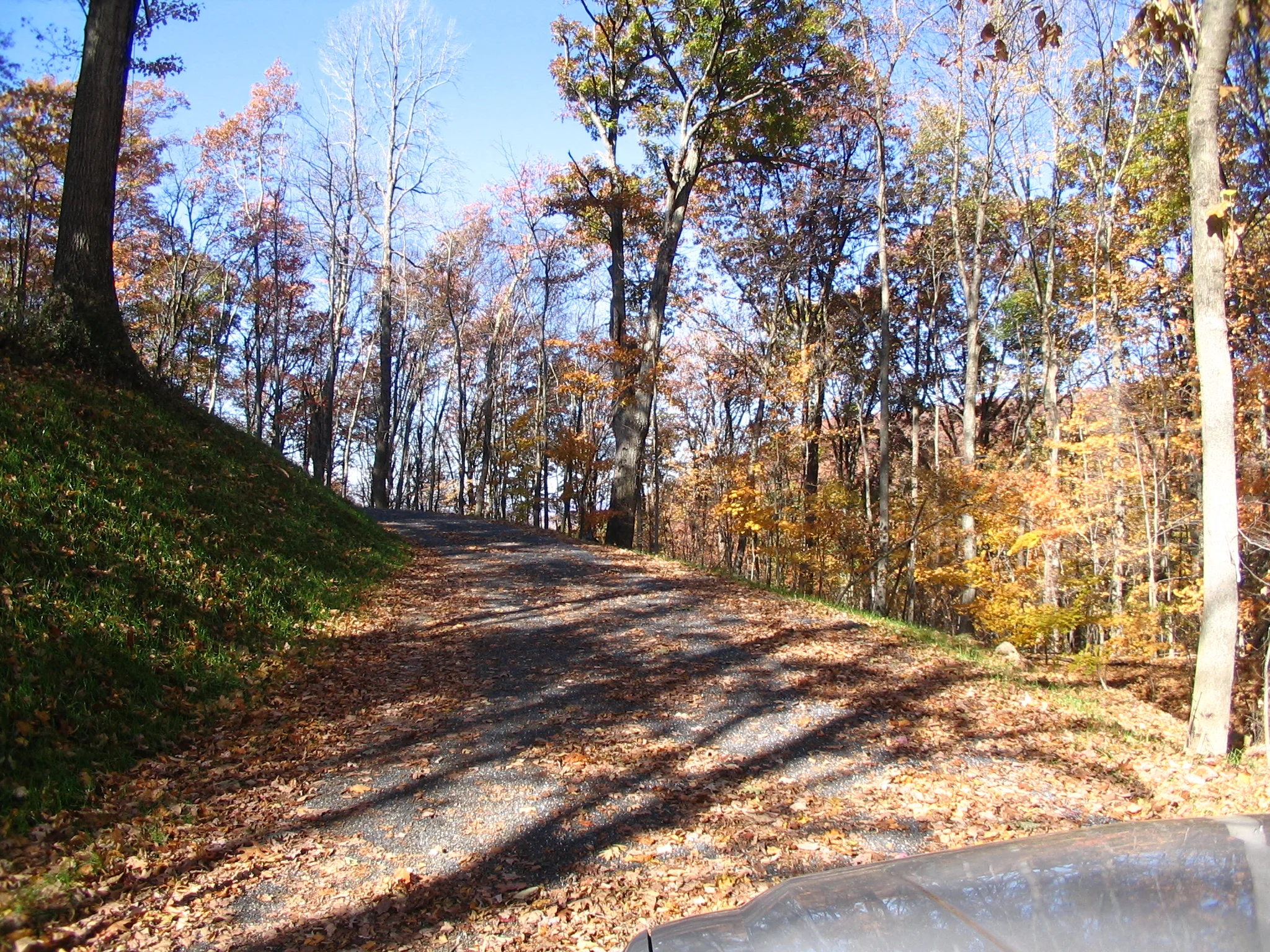 Driveway to Lot 36