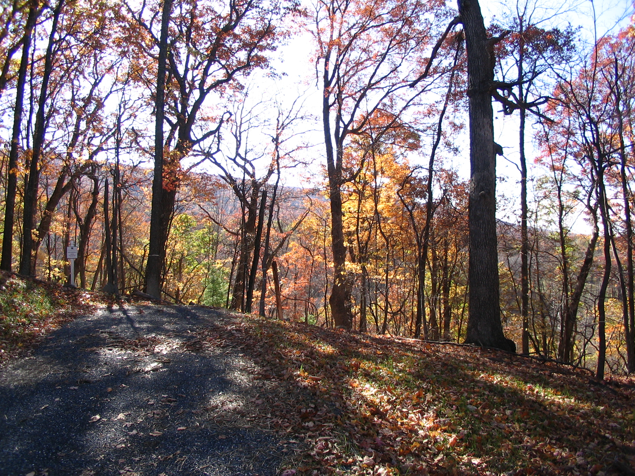 Driveway at Lot 36