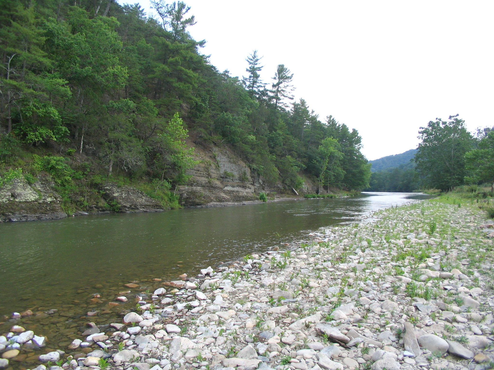   3/4 Mile of Cowpasture River - Downriver  