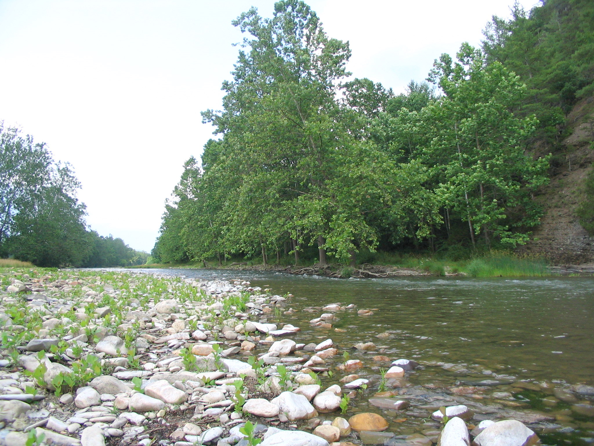   3/4 Mile of Cowpasture River - Upriver  