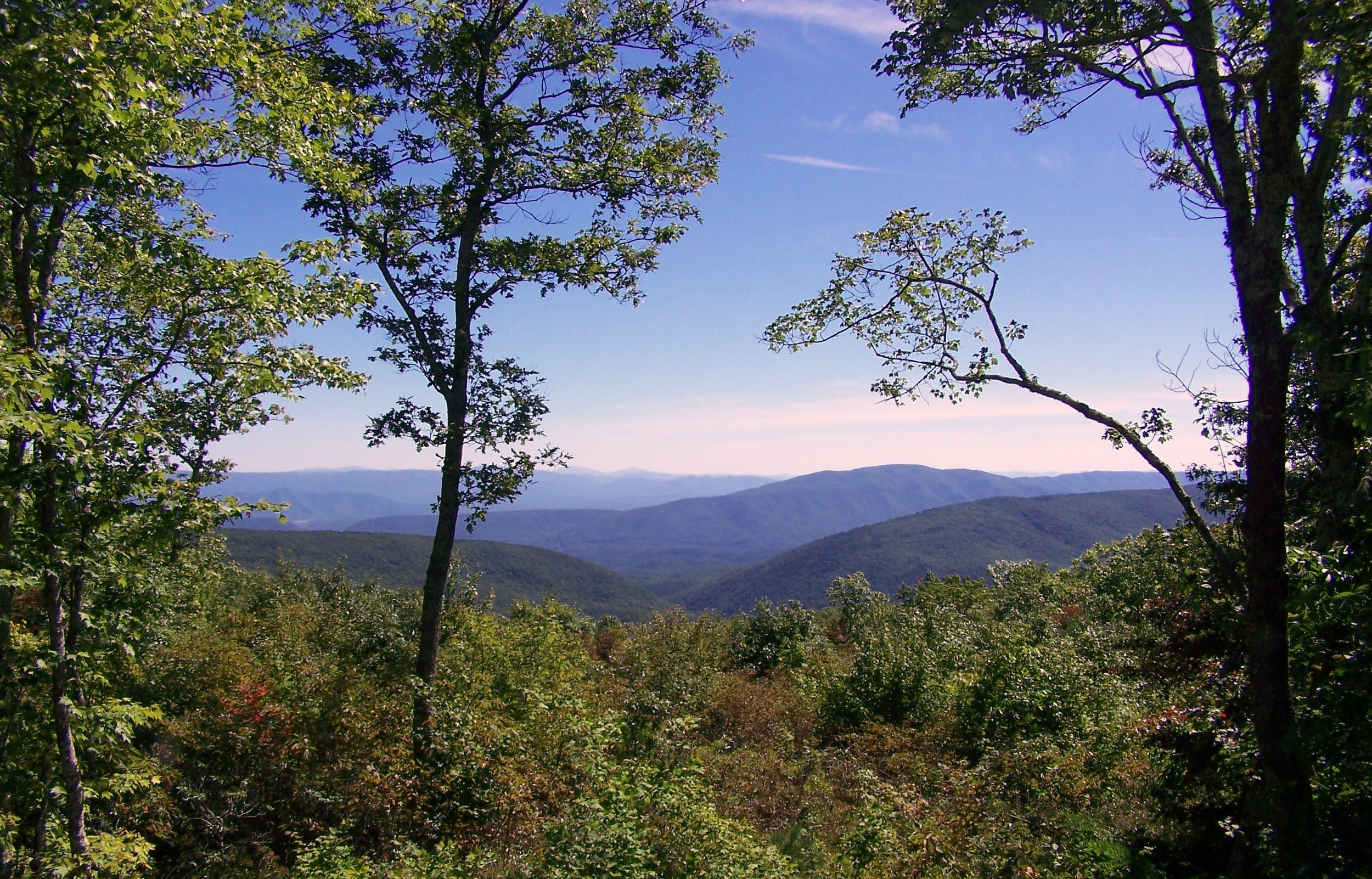 Airport Road | Alleghany County, VA