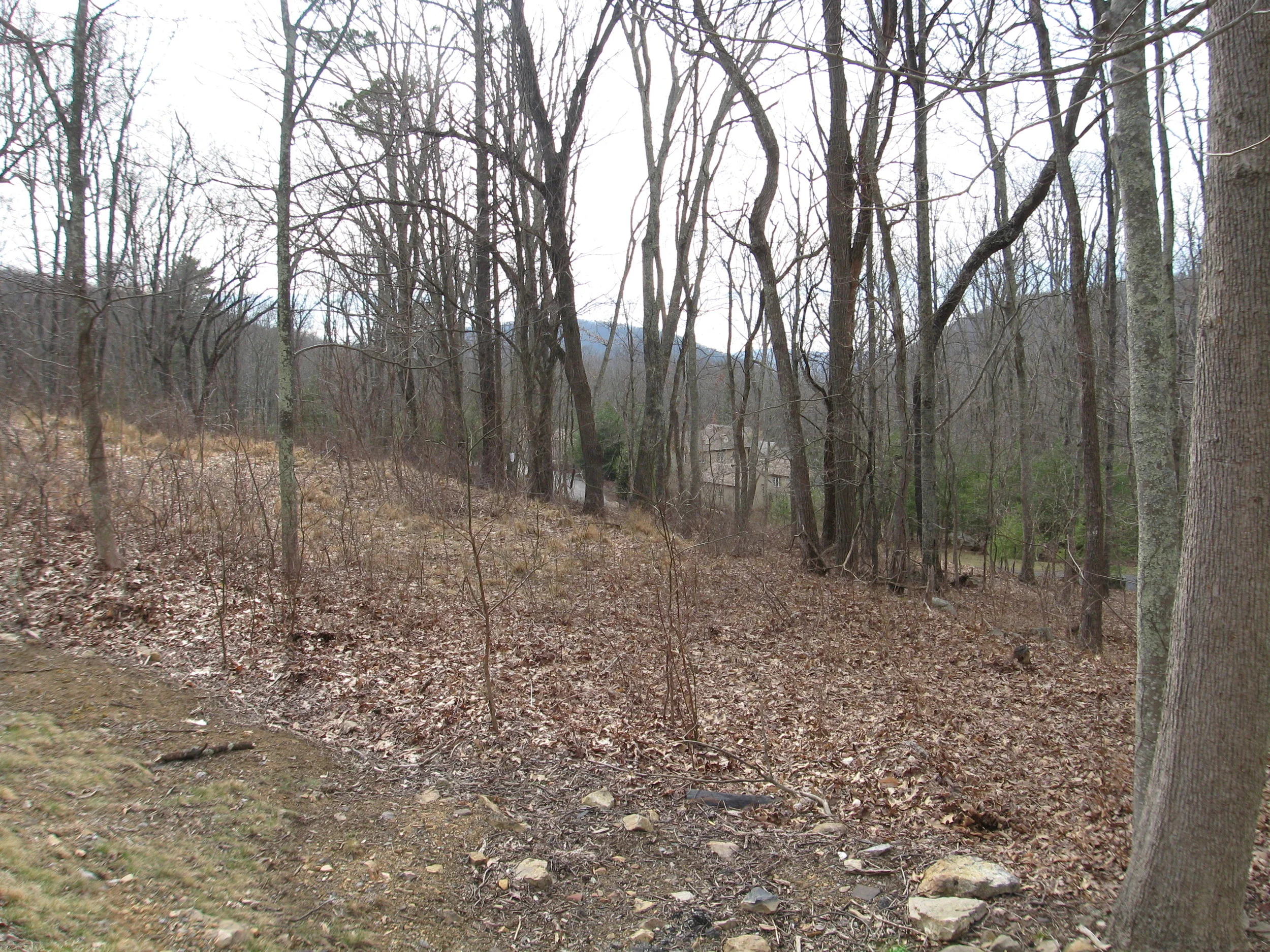 Lot #2, Sheep Meadow, in The Homestead Preserve