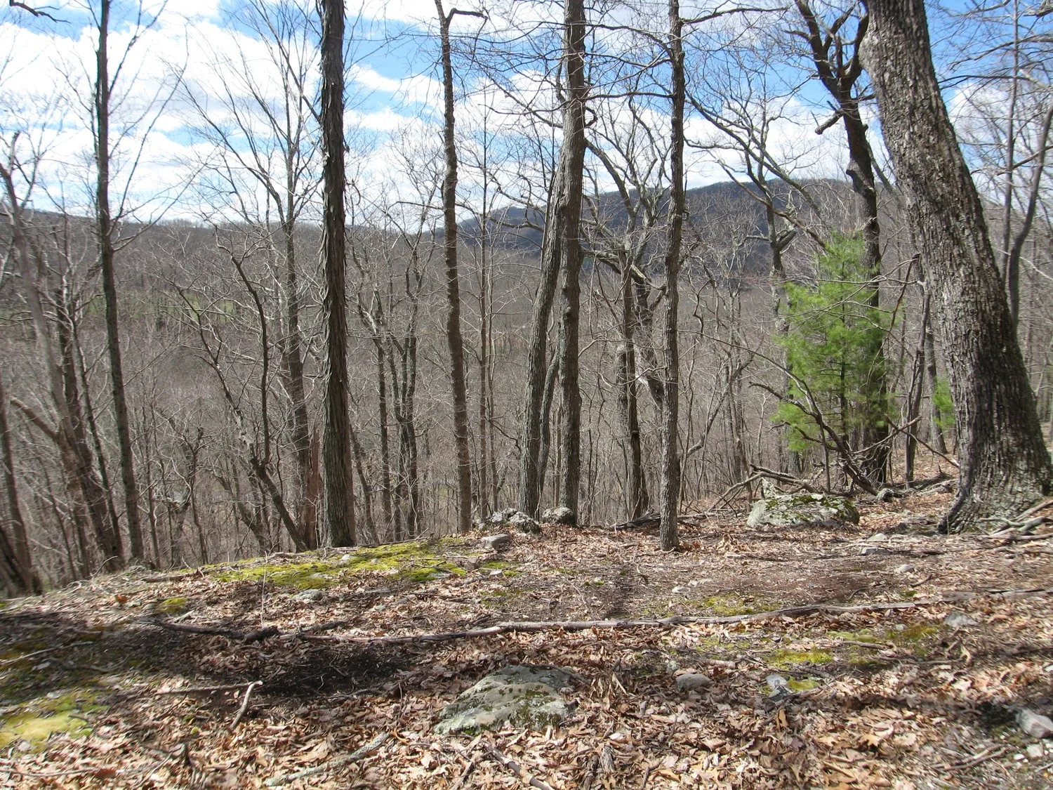 Lot # 37, Sheep Meadow, at The Homestead Preserve