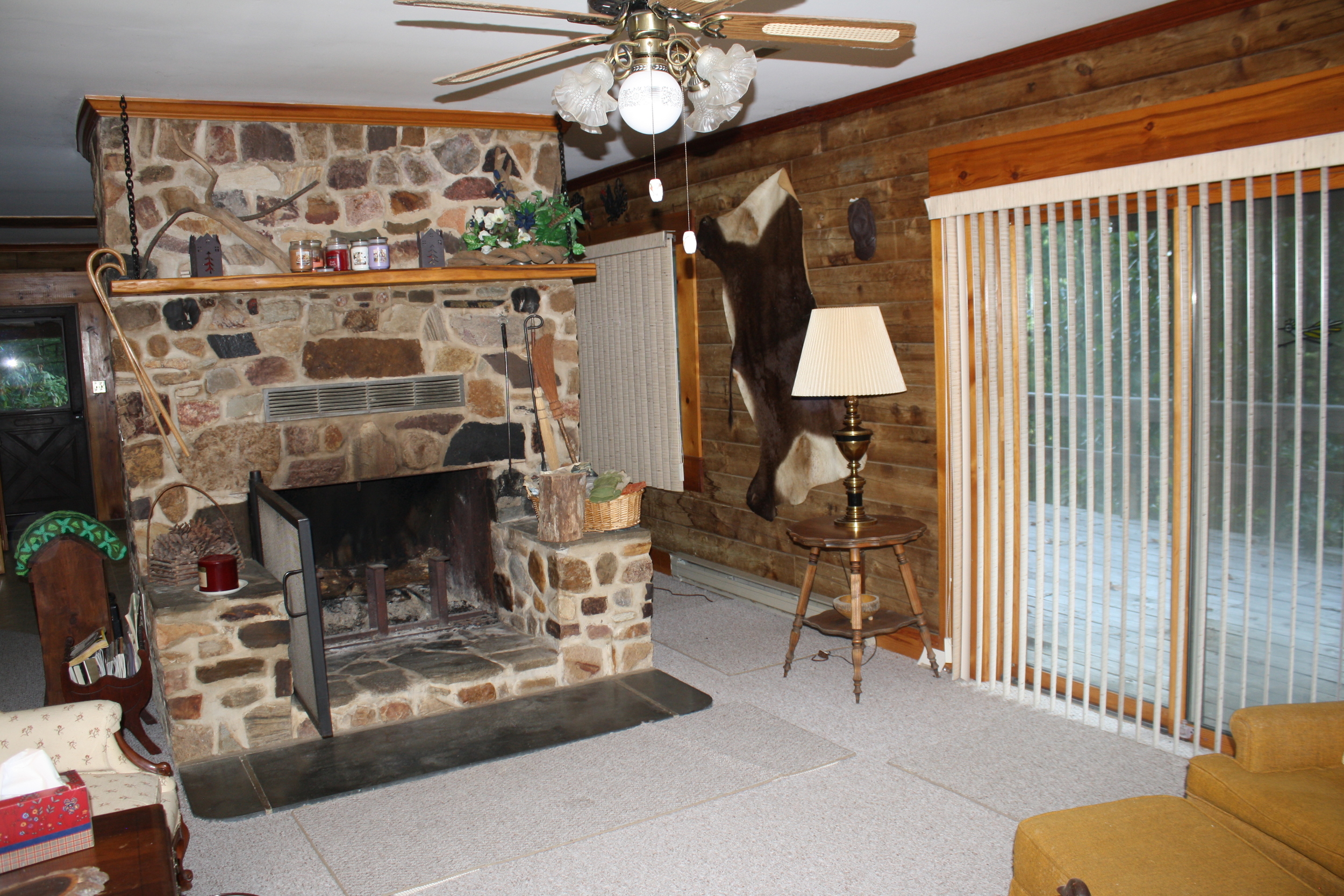 Living Room + Fireplace.jpg