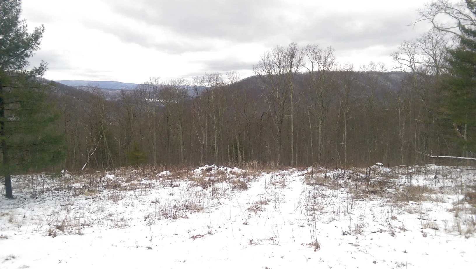 Winter view