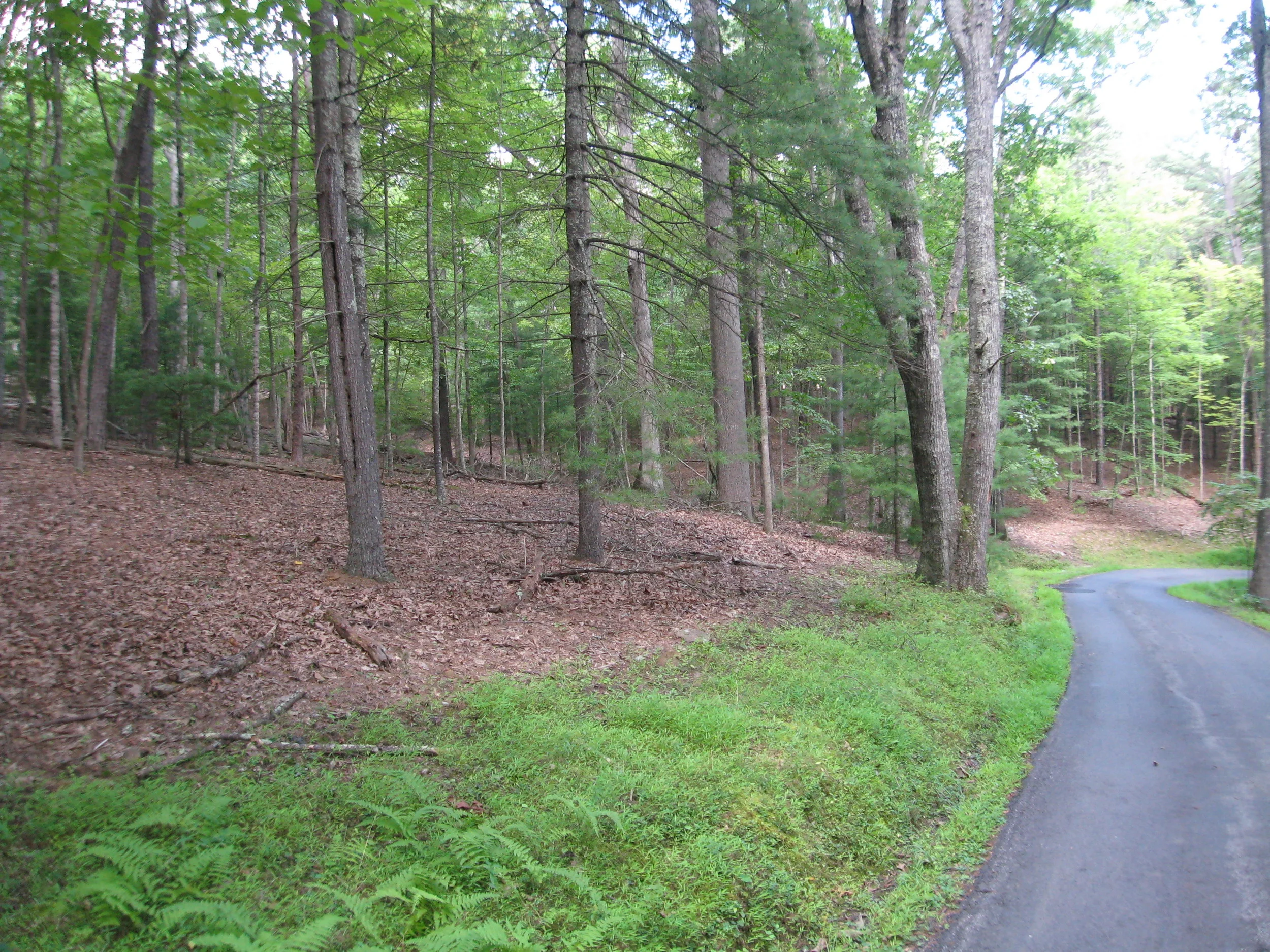 Lot #1 In Bath Alum Ridge