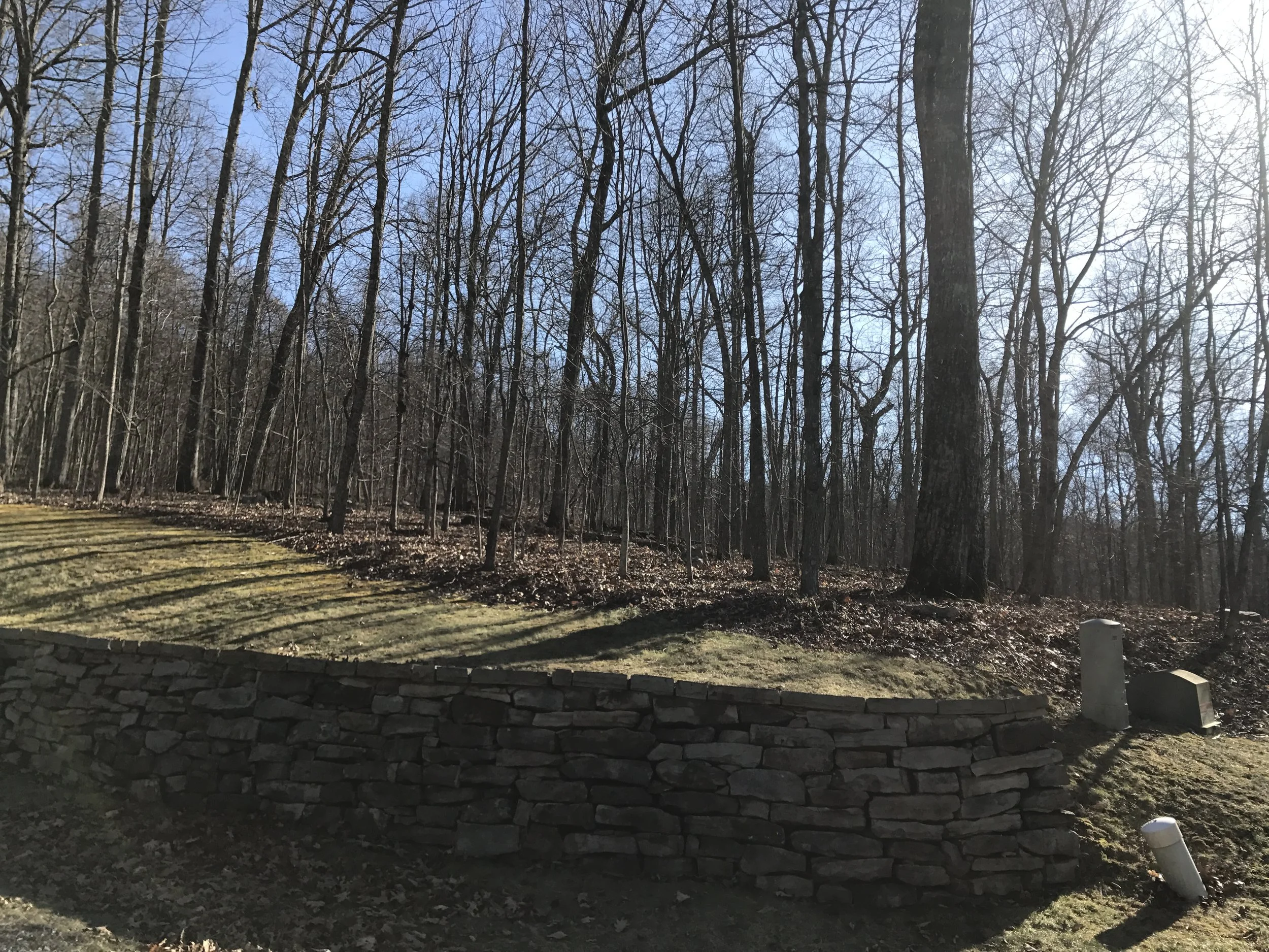 Lot #31, Delafield Rise, in The Homestead Preserve