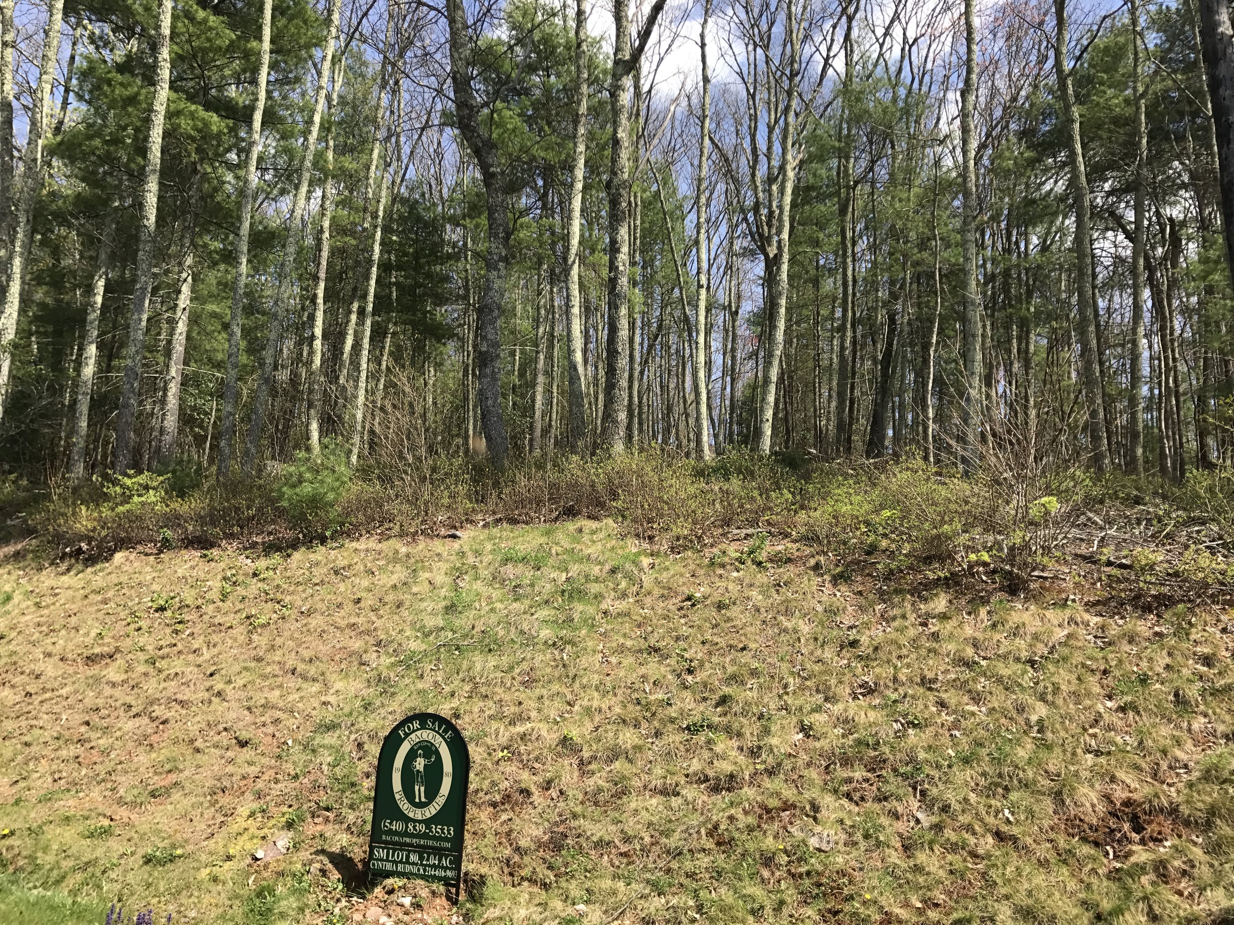 Uphill View onto Lot