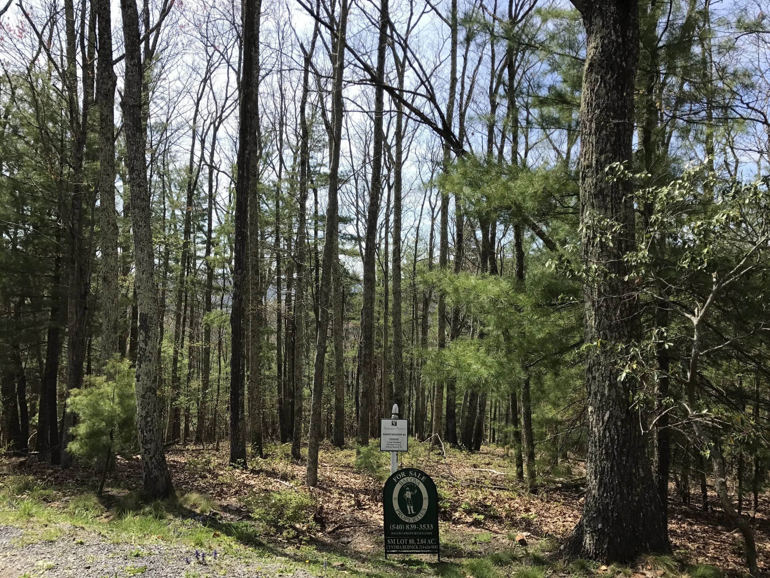 Uphill View onto Lot