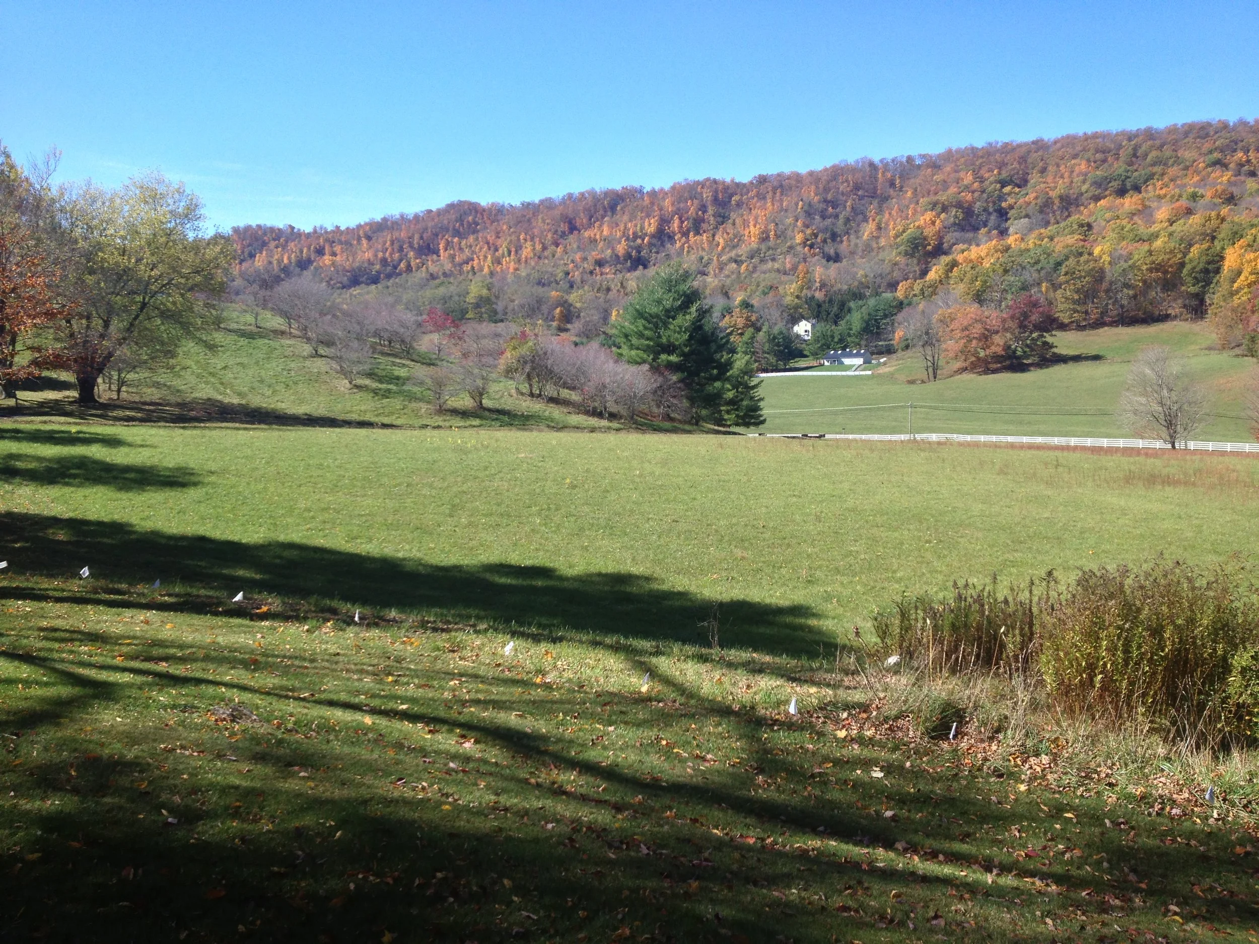 Niblick Knoll
