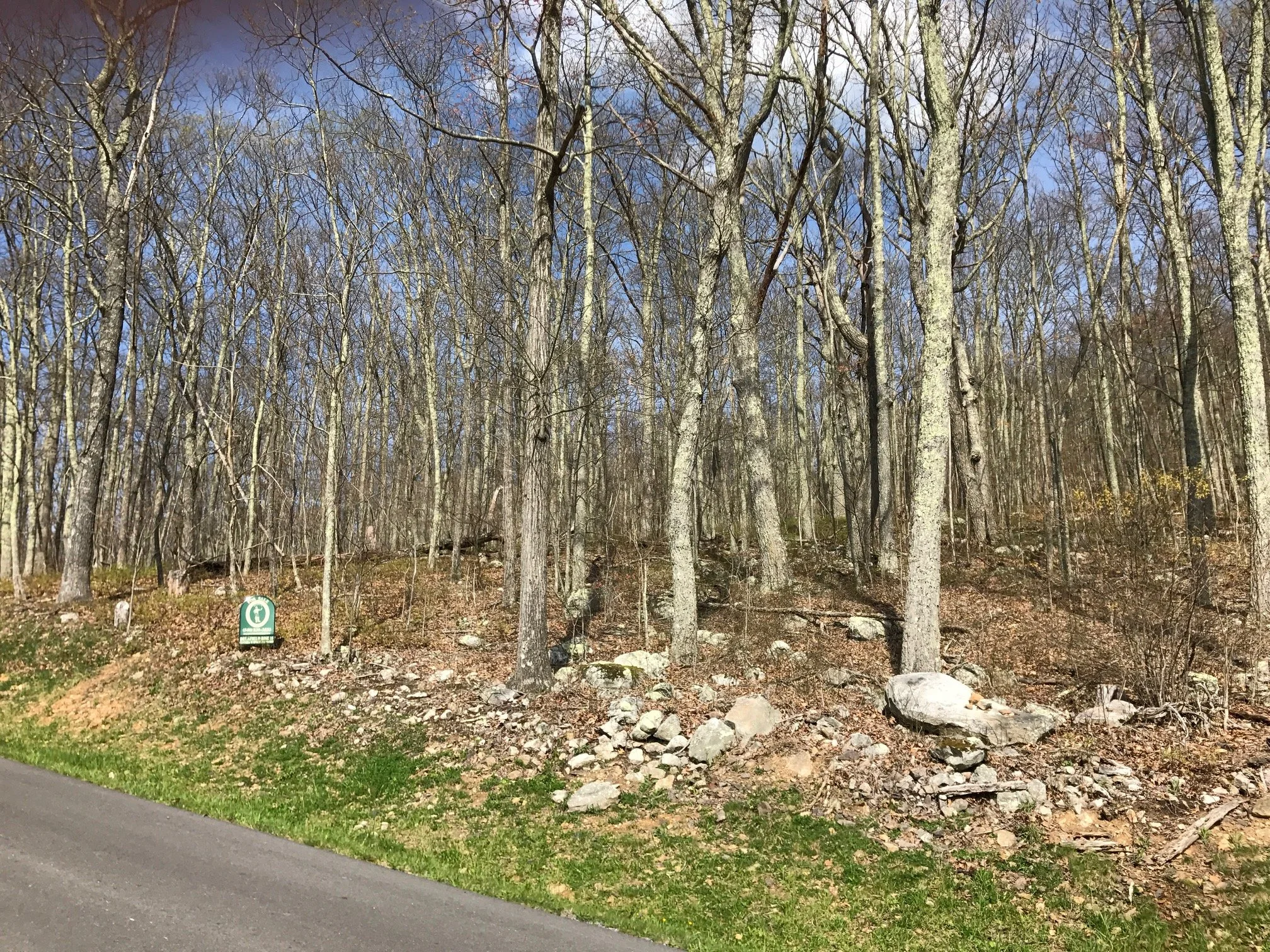 DR Lot 15 From Rd.jpg